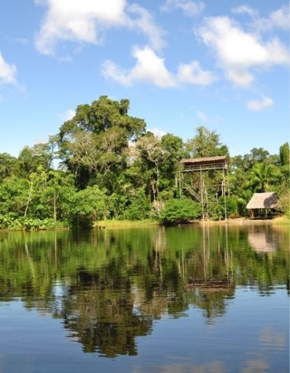 Ecoamazonia Lodge - Eco Paraíso